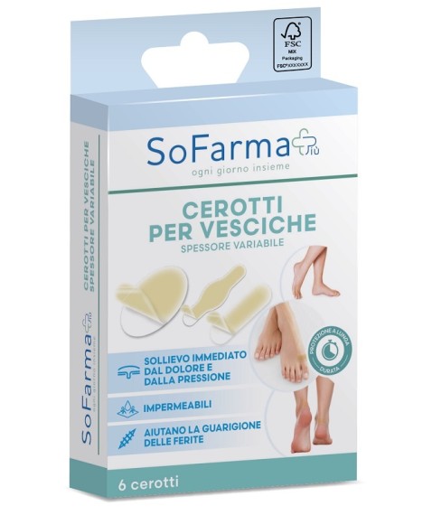 CEROTTO VESCICA ASS SF