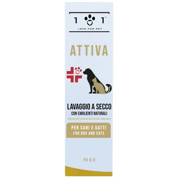 LAVAGGIO SECCO LENIT 250ML 101 LOVE