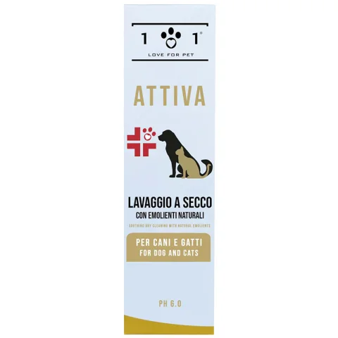 LAVAGGIO SECCO LENIT 250ML 101 LOVE