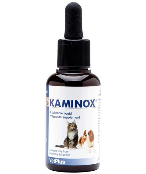 KAMINOX Sciroppo 60ml