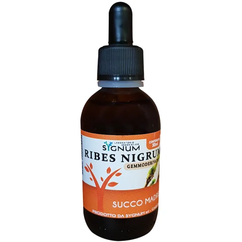 RIBES NIGRUM SUCCO MADRE 50ML