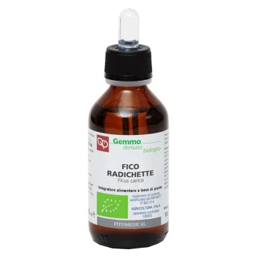FICO RADICHETTE GD 100ML BIO