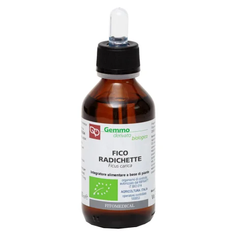 FICO RADICHETTE GD 100ML BIO