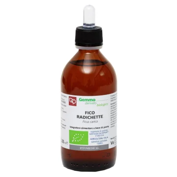 FICO RADICHETTE GD 200ML BIO