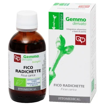 FICO RADICHETTE GD 50ML BIO