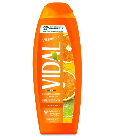 VIDAL NEW D/S VITAMINA C 250 ML