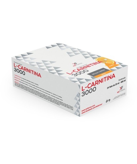 L CARNITINA 3000MG 24FL 25ML