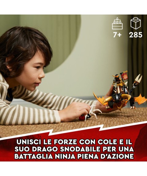 LEGO 71790 CAVALIERE DEL DRAGO