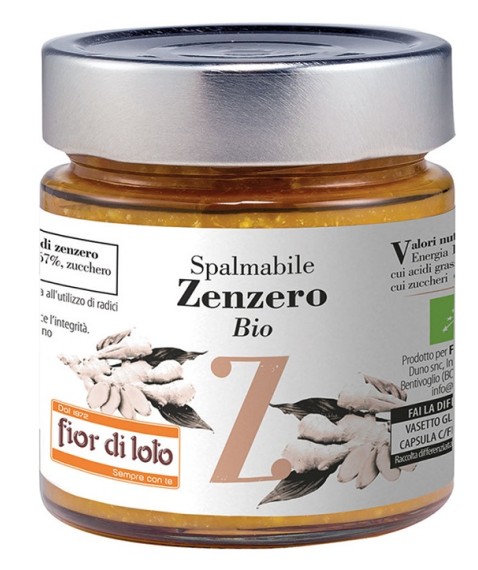 ZENZERO SPALMABILE 750G