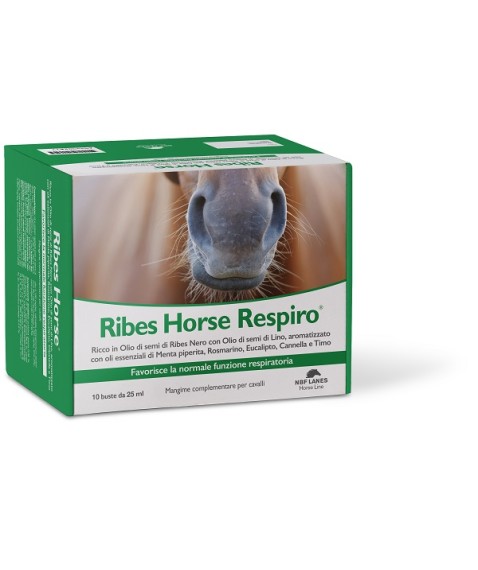 RIBES HORSE RESPIRO 10BUST