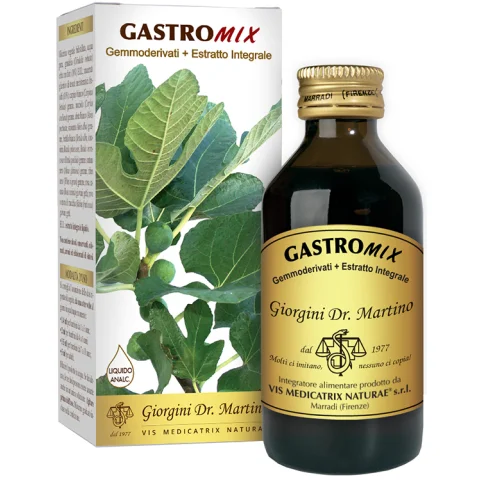 GASTROMIX LIQUIDO ANALC 100ML GASTROMIX LIQUIDO ANALC 100ML