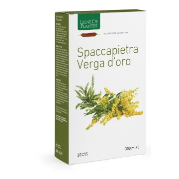 SPACCAPIETRA VERGA 20AMP
