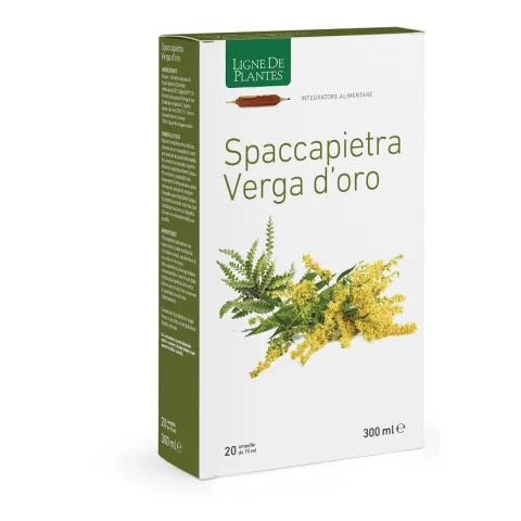 SPACCAPIETRA VERGA 20AMP