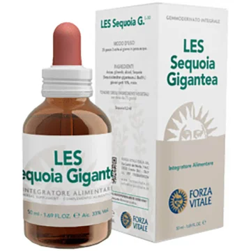 SEQUOIA GIGANTEA LES 50ML