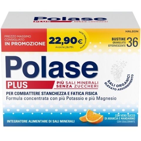 POLASE PLUS 36BUST PROMO 2024 POLASE PLUS 36BUST PROMO 2024