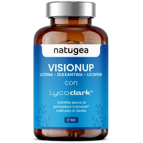 VISIONUP 60CPR