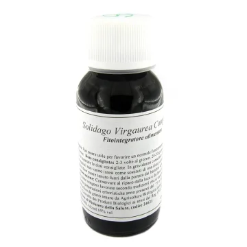 LVS 07N Solidago Virg.Comp.