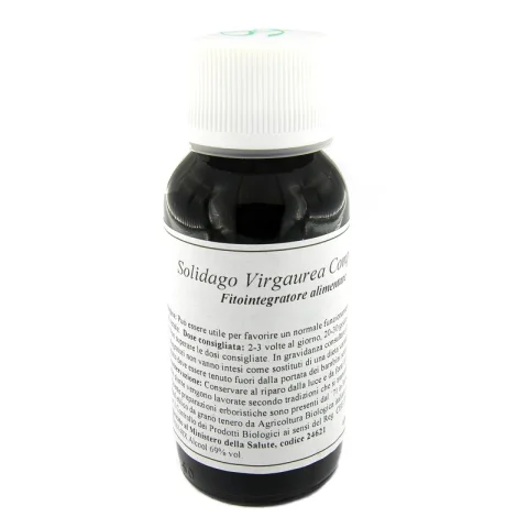 LVS 07N Solidago Virg.Comp.