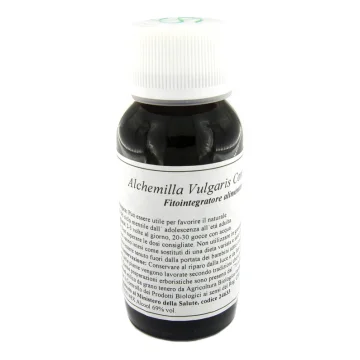 LVS 19N Alchemilla Vulg.Comp.