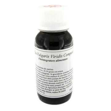 29S COFFEA VULGARIS VIRID COMP