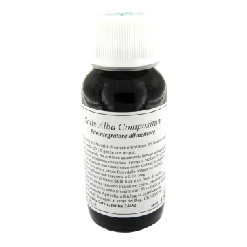 LVS 38N Salix Alba Comp.
