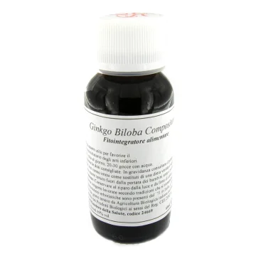 62S GINKGO BILOBA COMP 60ML LVS