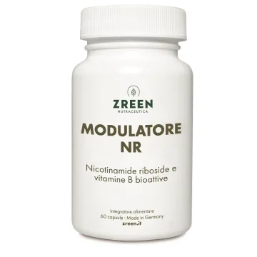 ZREEN MODULATORE NR 60CPS
