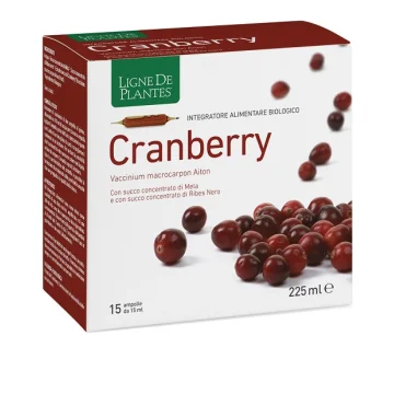 CRANBERRY 15AB 15ML
