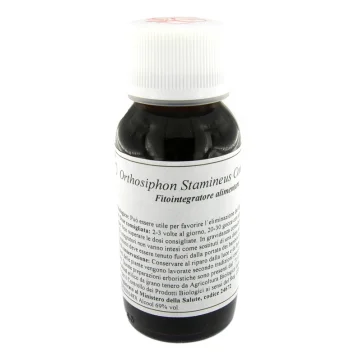 VILLA STODDARD 65S 60ML ORTHOSIPHON VILLA STODDARD 65S 60ML ORTHOSIPHON