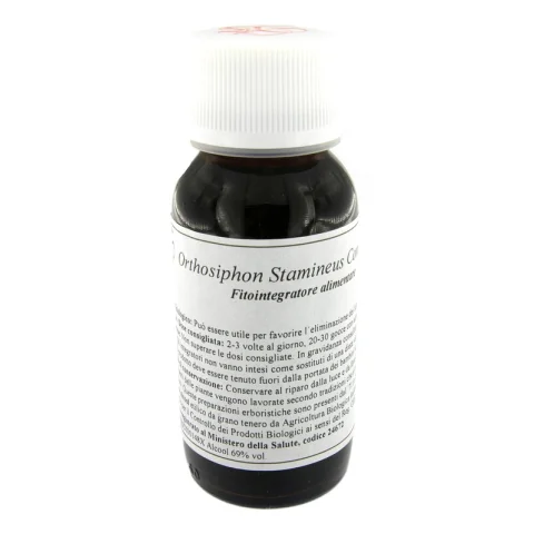 VILLA STODDARD 65S 60ML ORTHOSIPHON
