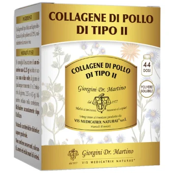 COLLAGENE POLLO TIPO II 100G