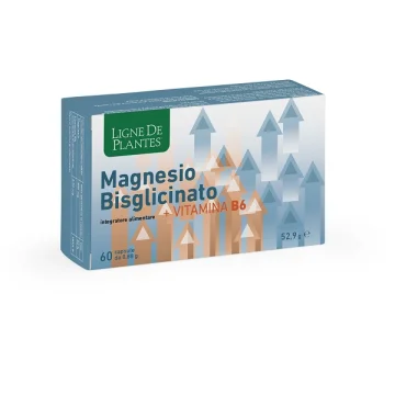 LIGNE MAGNESIO BIS+VITB6 60CPS