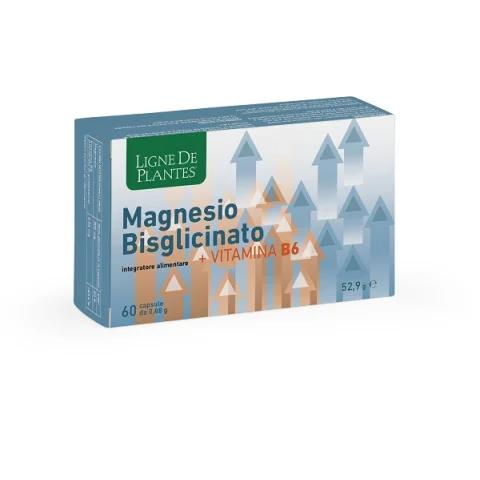 LIGNE MAGNESIO BIS+VITB6 60CPS