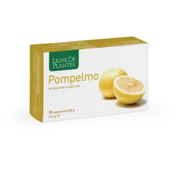 LIGNE POMPELMO 30CPS LIGNE POMPELMO 30CPS