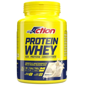 WHEY CONCENTRATE PROTEIN VANIG 750G