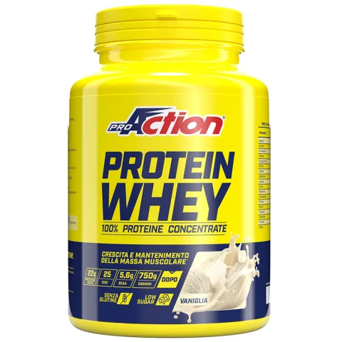 WHEY CONCENTRATE PROTEIN VANIG 750G