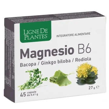LIGNE MAGNESIO B6 BACOPA 45CPS