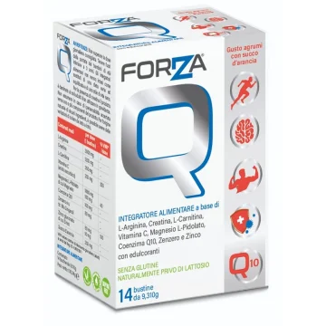 FORZA Q 14 Bust. FORZA Q 14 Bust.