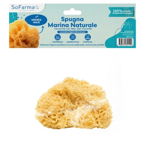 SPUGNA MARINA NATURALE MAXI SF+ SPUGNA MARINA NATURALE MAXI SF+