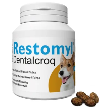 RESTOMYL DENTALCROQ 60GR CANE 60GR - INNOVET