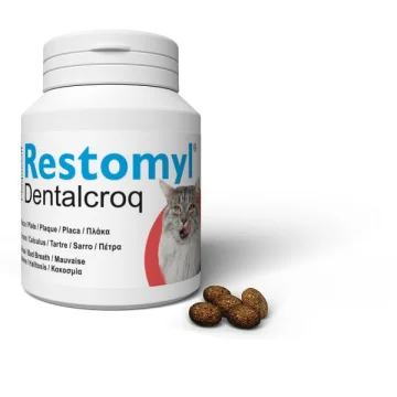 RESTOMYL DENTALCROQ GATTO 60GR - INNOVET
