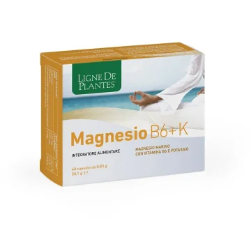 MAGNESIO B6 + K 60CPS NATURA S