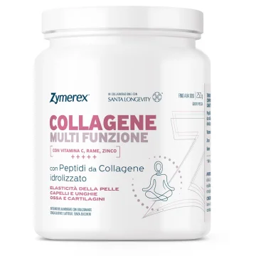 ZYMEREX COLLAGENE MULTIF 252G