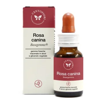 BASEGEMMO ROSA CANINA 30ML