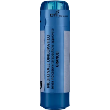 ALLIUM CEPA 5CH 70GR 3,5G