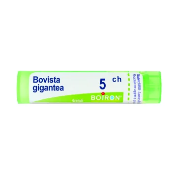 BOVISTA GIGANTEA*GRAN 5CH 4G AIC