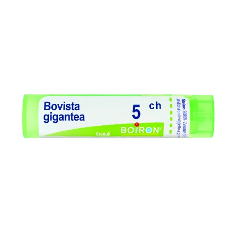 BOVISTA GIGANTEA*GRAN 5CH 4G AIC