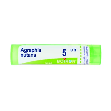BO.AGRAPHIS NUTANS*5CH 80GR 4G