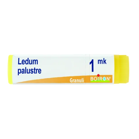 LEDUM PALUSTRE*GLOB MK AIC