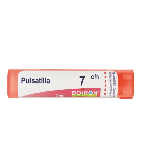 BO.PULSATILLA*7CH 80GR 4G